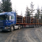 Two drivers out in wild Welsh forests!