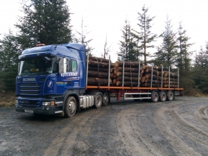 Two drivers out in wild Welsh forests!